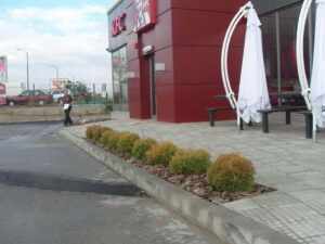 Озеленяване заведение KFC „Владимир Вазов“ [7]